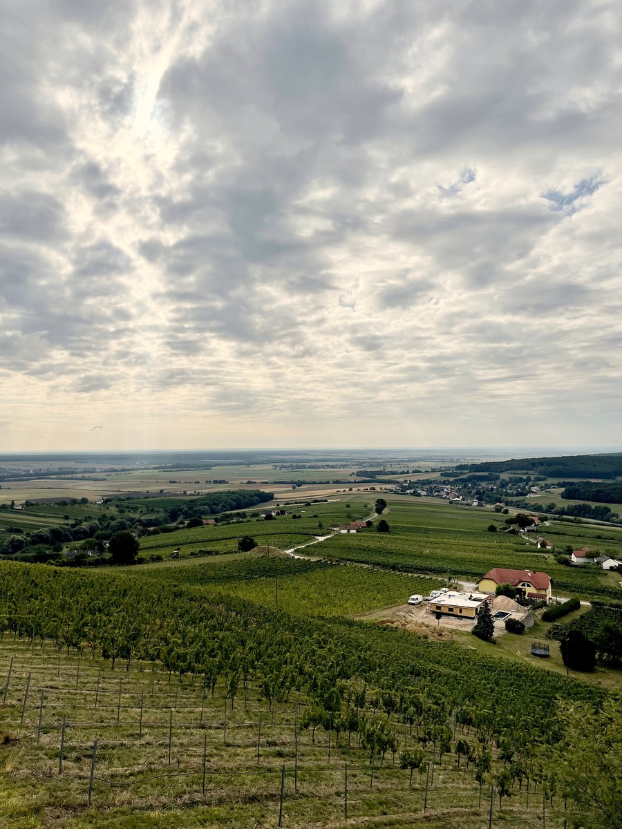 © Videk | Blick nach Ungarn