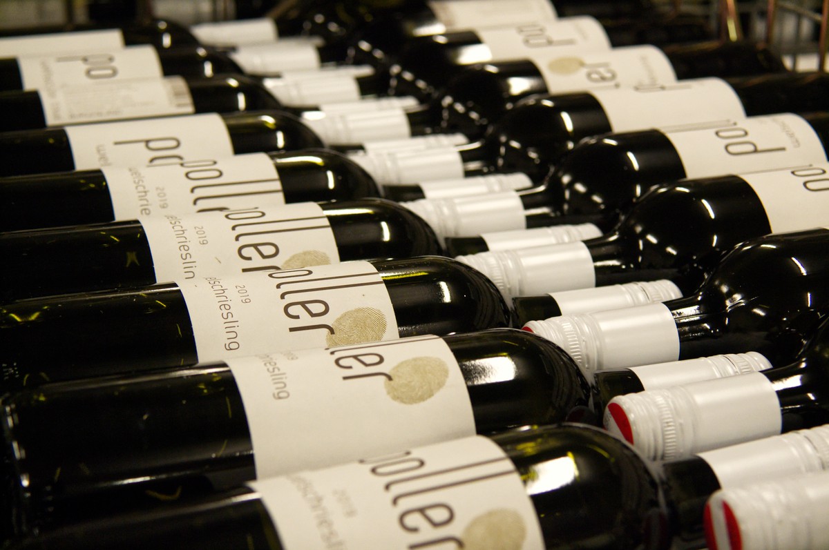 Bild: Videk | Weine Poller