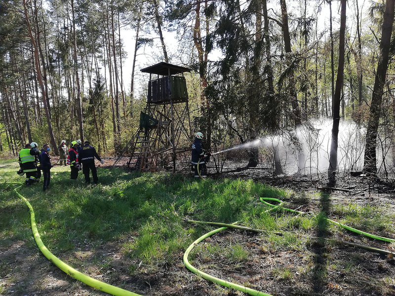 Waldbrand in Stegersbach